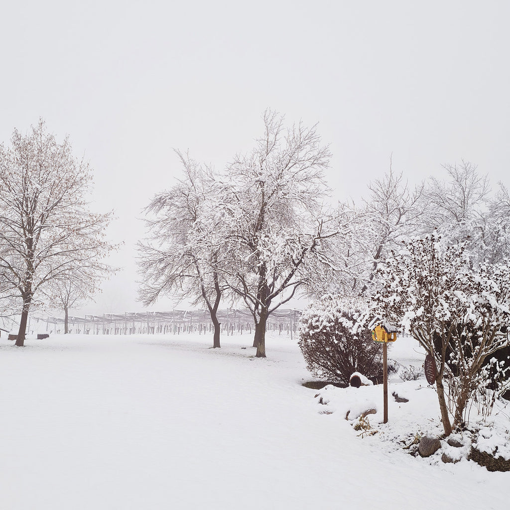 Winteröffnungszeiten